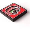 image:imageYouTheFan NFL NFL 3D StadiumView MagnetTeam Colors