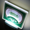 image:imageYouTheFan NFL StadiumView Nite LightTeam Colors