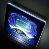 image:imageYouTheFan NFL StadiumView Nite LightTeam Colors