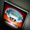 image:imageYouTheFan NFL StadiumView Nite LightTeam Colors