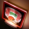 image:imageYouTheFan NFL StadiumView Nite LightTeam Colors