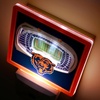 image:imageYouTheFan NFL StadiumView Nite LightTeam Colors