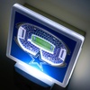 image:imageYouTheFan NFL StadiumView Nite LightTeam Colors
