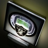 image:imageYouTheFan NFL StadiumView Nite LightTeam Colors