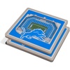 Detroit Lions