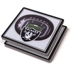 Las Vegas Raiders