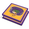 Minnesota Vikings