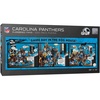 Carolina Panthers