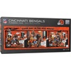 Cincinnati Bengals