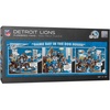 Detroit Lions