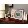 image:imageYouTheFan NFL 3D StadiumViews Desktop DisplayNew York Giants