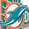image:imageYouTheFan NFL 3D Wall Pennant precisioncrafted unique shape made of multiple layers readytohang officially licensed and stylish addition for ultimate team fanMiami Dolphins