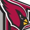 image:imageYouTheFan NFL 3D Wall Pennant precisioncrafted unique shape made of multiple layers readytohang officially licensed and stylish addition for ultimate team fanArizona Cardinals