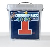 image:imageYouTheFan OfficiallyLicensed NCAA Set of 4 Cornhole Bags  All Weather Regulation 6 x 6 Size  16oz Weight  Designed in USAIllinois Fighting Illini  Blue