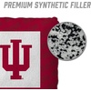 image:imageYouTheFan OfficiallyLicensed NCAA Set of 4 Cornhole Bags  All Weather Regulation 6 x 6 Size  16oz Weight  Designed in USAIndiana Hoosiers  Red
