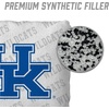 image:imageYouTheFan OfficiallyLicensed NCAA Set of 4 Cornhole Bags  All Weather Regulation 6 x 6 Size  16oz Weight  Designed in USAKentucky Wildcats  White