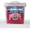 image:imageYouTheFan OfficiallyLicensed NCAA Set of 4 Cornhole Bags  All Weather Regulation 6 x 6 Size  16oz Weight  Designed in USAOhio State Buckeyes  Red