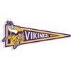 Minnesota Vikings
