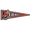 Cincinnati Bengals