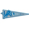 Detroit Lions