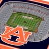 image:imageYouTheFan NCAA 3D StadiumView CoastersAuburn Tigers
