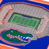 image:imageYouTheFan NCAA 3D StadiumView CoastersFlorida Gators