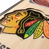 image:imageYouTheFan NHL 3D Stadium 6x19 BannerChicago Blackhawks