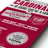 image:imageYouTheFan Officiallylicensed NFL 6x19 Top 10 Signs Banner  humorous descriptions  fun sports fan phrases original design indoor team wall decor fan giftArizona Cardinals
