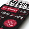 image:imageYouTheFan Officiallylicensed NFL 6x19 Top 10 Signs Banner  humorous descriptions  fun sports fan phrases original design indoor team wall decor fan giftAtlanta Falcons