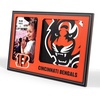 Cincinnati Bengals