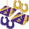 Minnesota Vikings