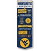 West Virginia Mountaineers