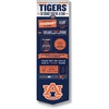 Auburn Tigers