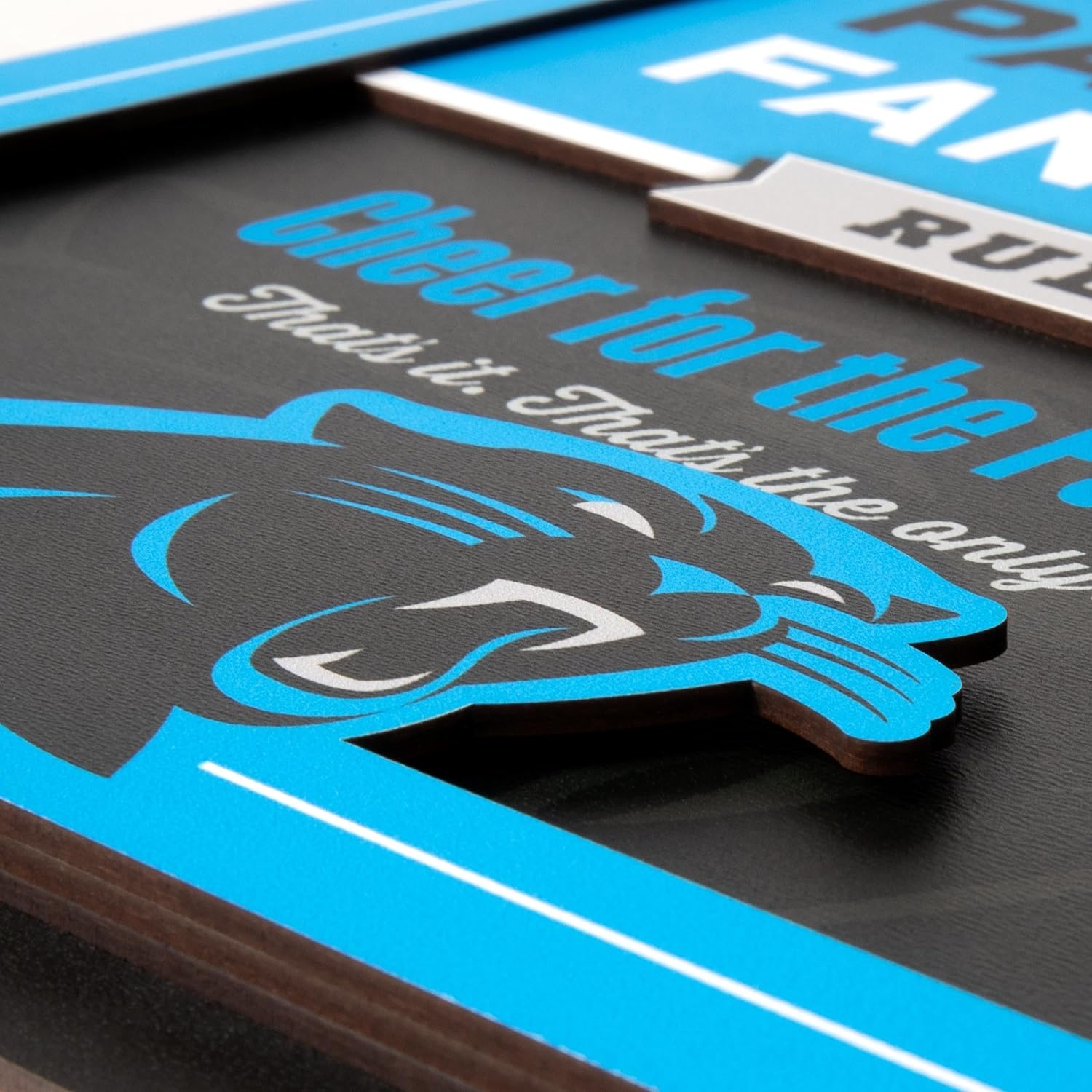 image:imageYouTheFan Officiallylicensed NFL Fan Rules Wall Art multiple layers humorous team artwork sports fan motto showcases funny rules indoor decorCarolina Panthers