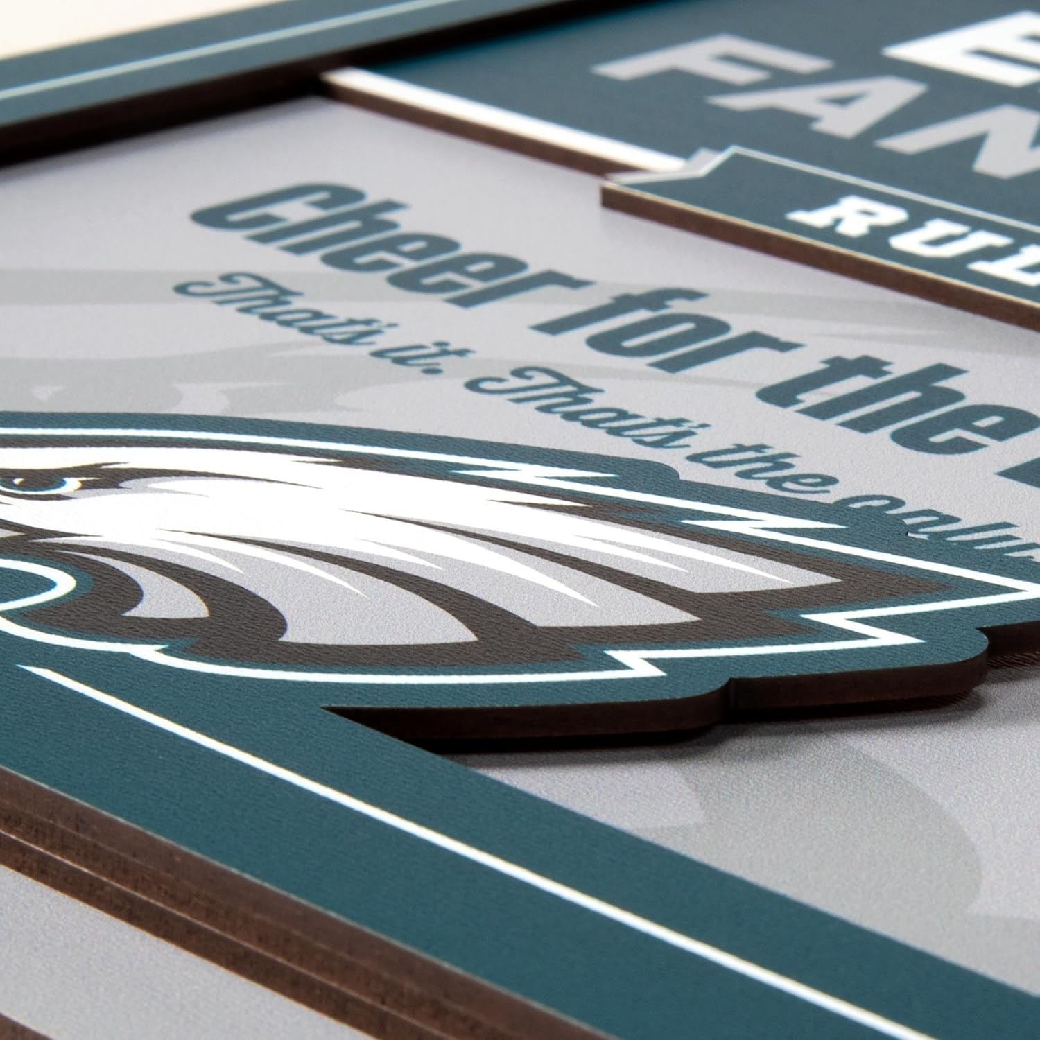 image:imageYouTheFan Officiallylicensed NFL Fan Rules Wall Art multiple layers humorous team artwork sports fan motto showcases funny rules indoor decorPhiladelphia Eagles