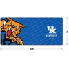 image:imageYouTheFan NCAA Tennessee Volunteers Logo Series Desk Pad1