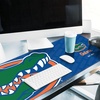 image:imageYouTheFan NCAA Tennessee Volunteers Logo Series Desk Pad1