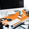 image:imageYouTheFan NCAA Tennessee Volunteers Logo Series Desk Pad12