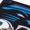 image:imageYouTheFan NFL 3D Logo Series CoasterCarolina Panthers