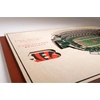 image:imageYouTheFan NFL 5Layer StadiumView Wall ArtCincinnati Bengals