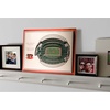 image:imageYouTheFan NFL 5Layer StadiumView Wall ArtCincinnati Bengals