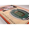 image:imageYouTheFan NFL Arizona Cardinals 3D StadiumViews Picture FrameCincinnati Bengals