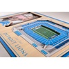 image:imageYouTheFan NFL Arizona Cardinals 3D StadiumViews Picture FrameDetroit Lions