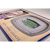 image:imageYouTheFan NFL Arizona Cardinals 3D StadiumViews Picture FrameNew York Giants
