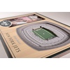 image:imageYouTheFan NFL Arizona Cardinals 3D StadiumViews Picture FrameNew York Jets