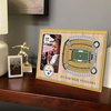 image:imageYouTheFan NFL Arizona Cardinals 3D StadiumViews Picture FramePittsburgh Steelers