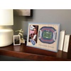 image:imageYouTheFan NFL Arizona Cardinals 3D StadiumViews Picture FrameTennessee Titans