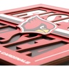 image:imageYouTheFan NFL Arizona Cardinals Slogan Series 3D Wall ArtArizona Cardinals