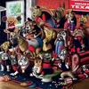 image:imageYouTheFan Officiallylicensed NFL Purebred 3D Wall Art  Humorous original handdrawn cartoon artwork multilayer funny gift indoor team decorHouston Texans
