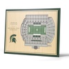 Michigan State Spartans